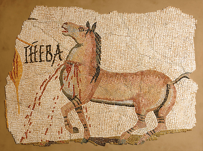 The bleeding horse